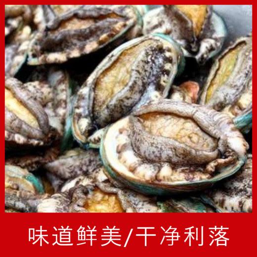 【海鲜】鲜活10头鲍鱼/个 商品图1