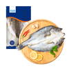 【白蕉海鲈鱼】三去白蕉海鲈鱼1.2kg/1.6kg/2kg四条装 商品缩略图1