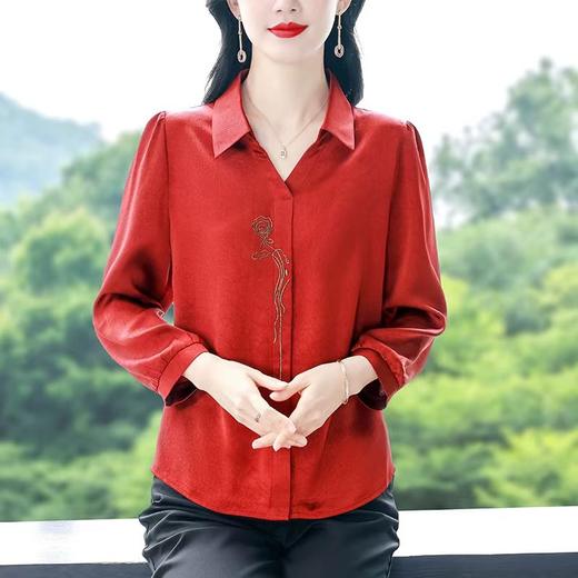 气质秋装设计感刺绣衬衫女2025秋季新款洋气长袖上衣女士春秋衬衣 商品图1