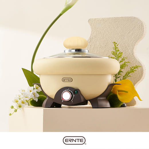 ERNTE昂特精灵锅多功能电火锅迷你小型一人食电煮锅 商品图1