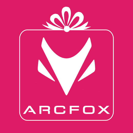 温岭极狐 车内杀菌 商品图1