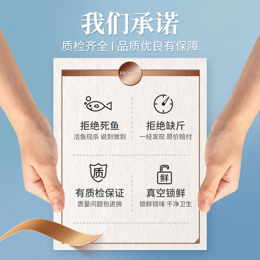 【白蕉海鲈鱼】三去白蕉海鲈鱼1.2kg/1.6kg/2kg四条装 商品图7