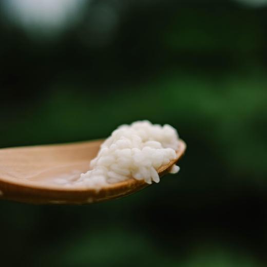 有机醪糟 甜酒酿  450g/瓶 商品图2