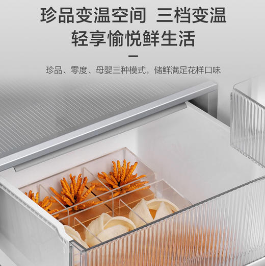 海尔（Haier）冰箱 BCD-491WGHTDB9BFU1 商品图9