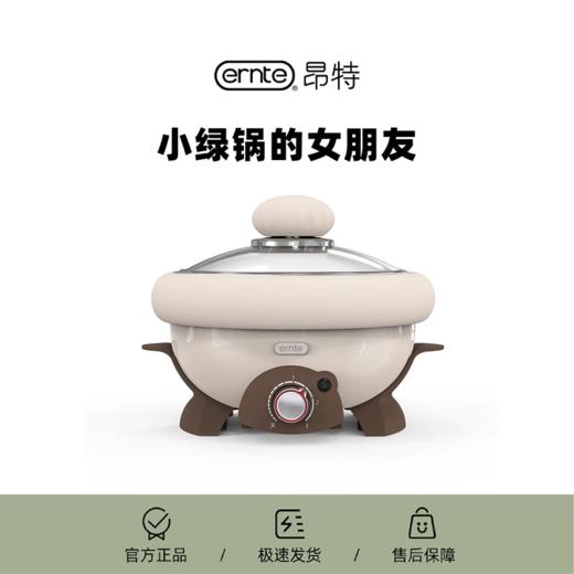 德国ERNTE昂特兔子锅多功能电火锅小绿锅情侣小粉锅一人食电煮锅 商品图0
