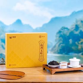 中茶 海堤 山河玉叶 大红袍 武夷山 岩茶 茶叶 礼盒 240克