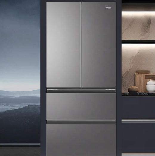 海尔（Haier）冰箱 BCD-491WGHFDB5BFU1 商品图2