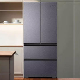 海尔（Haier）冰箱 BCD-481WGHFDB9S9U1