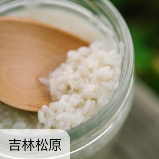 有机醪糟 甜酒酿  450g/瓶 商品图0