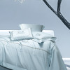 自然醒160支长绒棉磨毛高端绣花四件套100%纯棉床单被套秋冬季家纺床品GDS 商品缩略图5