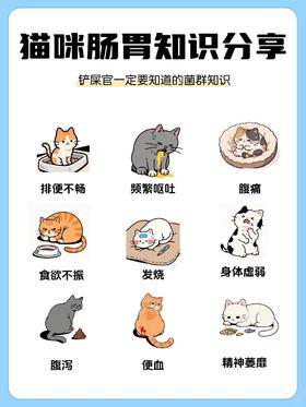 猫咪软便拉稀❓别忽视小心酿成大错‼️