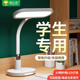 明之选MZX-806锂电软管台灯