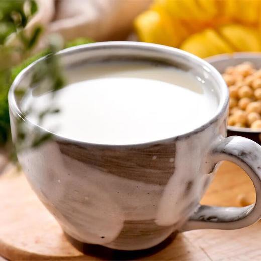 有糖原味豆浆 约350ml/瓶（甜味/经典） 商品图2