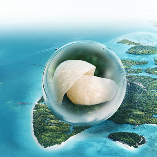 食养燕窝肽杏仁七白粉350g快节奏生活营养补充早餐代餐办公室便携中式食养滋补品 商品图4