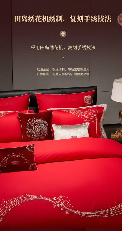 10楼 梦洁 纯棉绣花四件套 吊牌价2999元 活动价1999元 商品图2