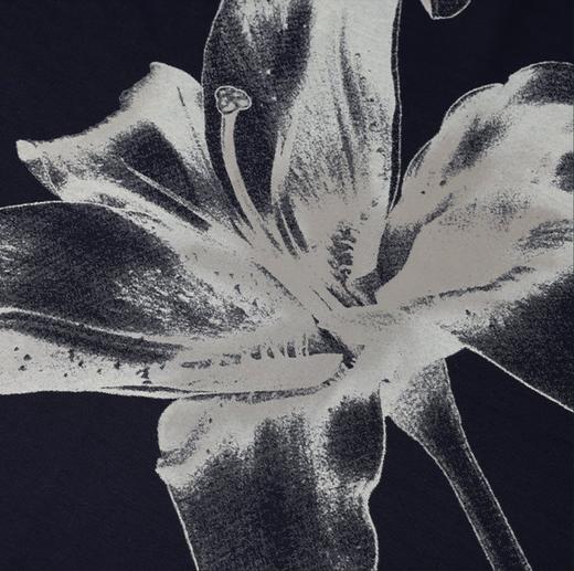 【新品现货到仓特惠秒】Emporio Armani 男士全棉质感简约商务休闲短袖T恤12404 商品图11