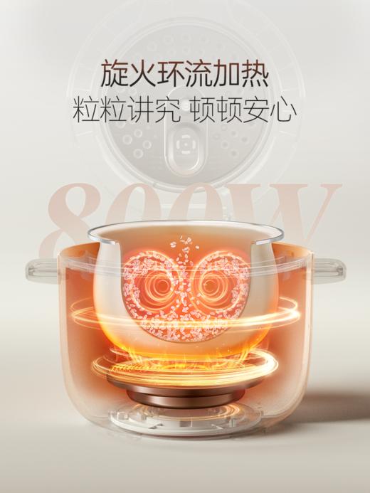 摩飞 电饭煲家用智能2.5L迷你电饭锅1-4人小型多功能聚能厚釜电煮饭锅 MR8502 商品图3