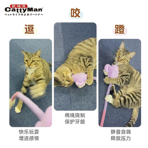 多格漫  猫咪自嗨玩具  咬咬踢踏萌趣长尾玩具 商品图5