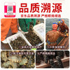 皇纯大连淡干海参干货 250g25-45只优品有机底播辽刺参礼盒 海鲜特产 /粮油调味 /南北干货 /干海参 商品缩略图2
