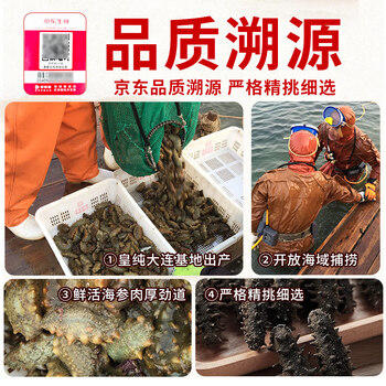 皇纯大连淡干海参干货 250g25-45只优品有机底播辽刺参礼盒 海鲜特产 /粮油调味 /南北干货 /干海参 商品图2