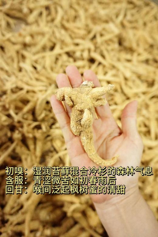 加拿大西洋参五年大原枝 454g礼盒装 每颗25-30克左右 商品图8