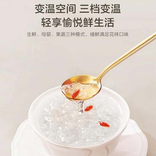 海尔（Haier）冰箱 BCD-416WGHFDB9WVU1 商品图8