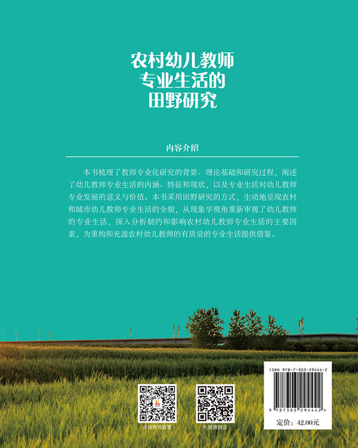 农村幼儿教师专业生活的田野研究 9787303294442 周燕 等/著  北京师范大学出版社 正版书籍 商品图1