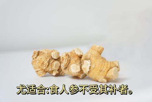 加拿大五年西洋参大圆粒 5g/颗 454g礼盒装 商品图1