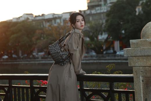 BT337-迪奥 D-Journey 金色五金配件拉链开合 山羊皮 单肩包  多色 商品图4