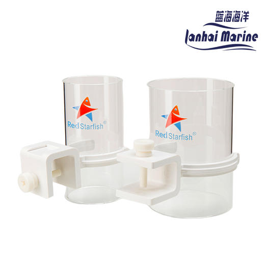 红海星喂食圈，挂钩拉筋两用 商品图0