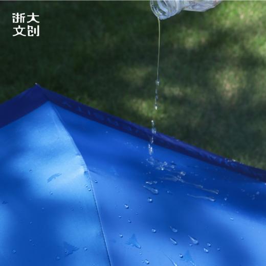 【浙大文创】浙江大学求是鹰遇水变色伞 商品图5