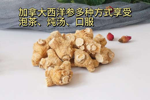 加拿大五年西洋参大圆粒 5g/颗 454g礼盒装 商品图6