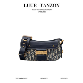 BT335-迪奥 Streetchic 复古金色五金件装饰 小牛皮 单肩包 多色