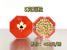 加拿大五年西洋参大圆粒 5g/颗 454g礼盒装