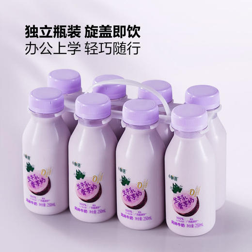 MM 山姆 小鲜语生牛乳香芋奶 250ml*8 商品图3