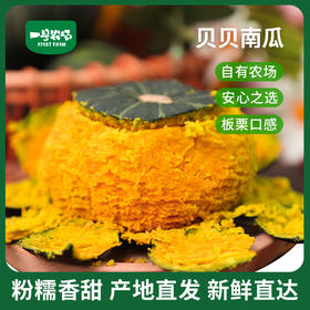 2026精选正宗贝贝南瓜粉糯香甜板栗味营养代餐宝宝辅食轻食农场直供