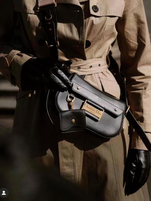 BT335-迪奥 Streetchic 复古金色五金件装饰 小牛皮 单肩包 多色 商品图5