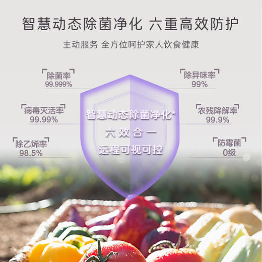 卡萨帝（Casarte）冰箱 BCD-470WLCFDM9W3U1 商品图9