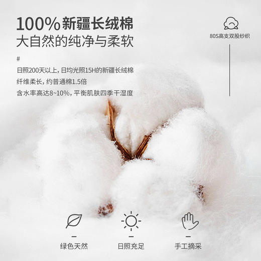 【凌志九号】温莎领100%新疆长绒棉DP抗皱长袖衬衫M333 商品图2