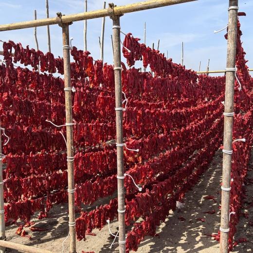 配料干净 原滋原味 | 亩育万物新疆伊犁肉辣皮子 厨房食材调味干辣椒蔬菜  300g/袋 商品图8