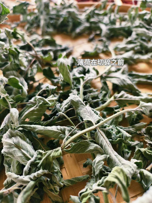 【香茅薄荷】湿热救星｜清新大自然味｜一口进入田野芬芳中｜舒缓压力｜生态种植 0农残除草剂0添加 商品图2