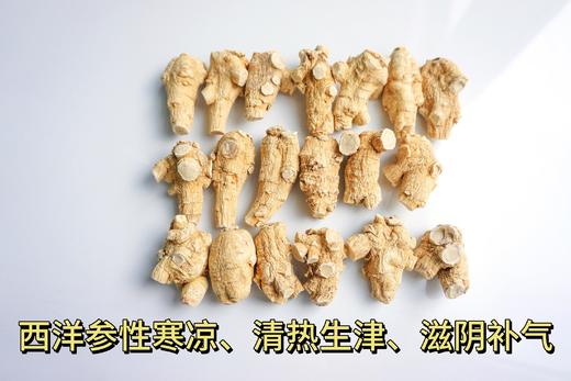 加拿大五年西洋参大圆粒25g/颗 454g礼盒装 商品图1