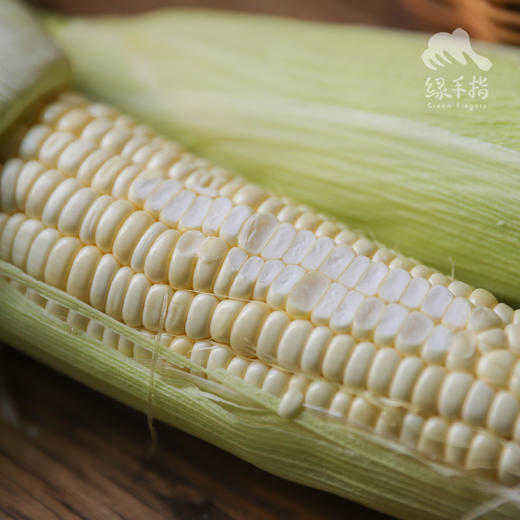 生态浙江甜糯玉米（预售5-7天发货）| 合作生产*Ecological white glutinous corn| Partner Production 商品图4