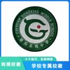 通版深圳市翠园东晓中学织唛加胶校徽服姓名贴徽章可缝烫现货发51 商品缩略图2