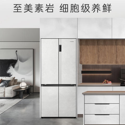 卡萨帝（Casarte）冰箱 BCD-551WLCTDM4GDU1 商品图2