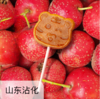 生态山楂棒  100g/袋 商品缩略图0