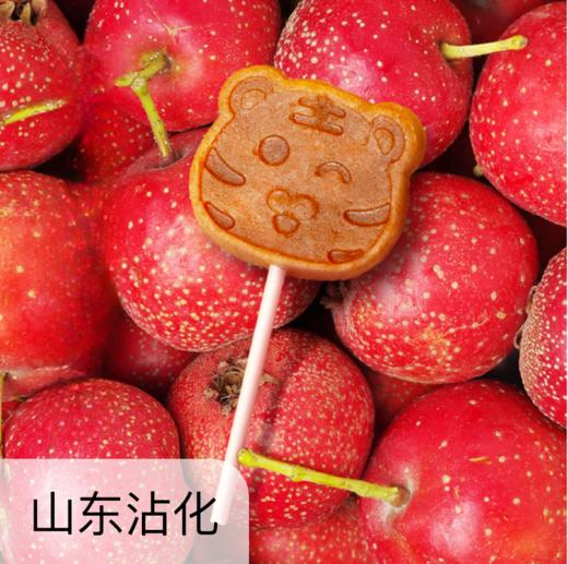 生态山楂棒  100g/袋 商品图0