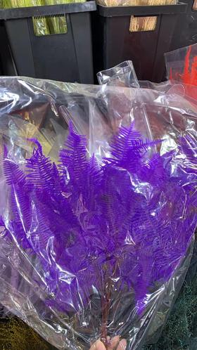 永生花材 ｜ 芒其叶深紫