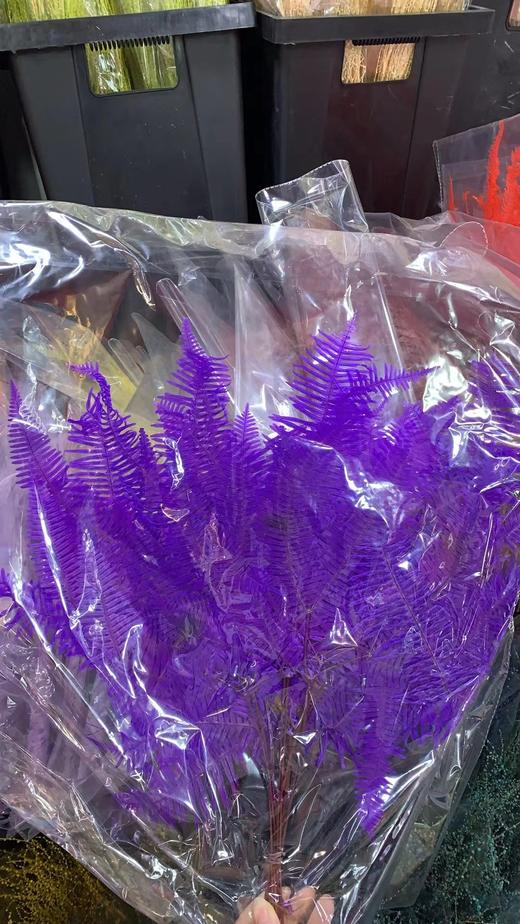 永生花材 ｜ 芒其叶深紫 商品图0