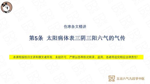 伤寒第5条  太阳病体表三阴三阳六气的气传 商品图0